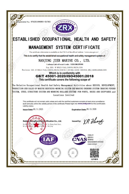 ISO 45001 Установленный Сертификат системы управления здоровьем и безопасности